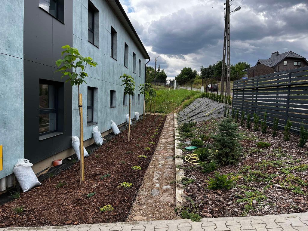 Drzewo Dolny Śląsk 3